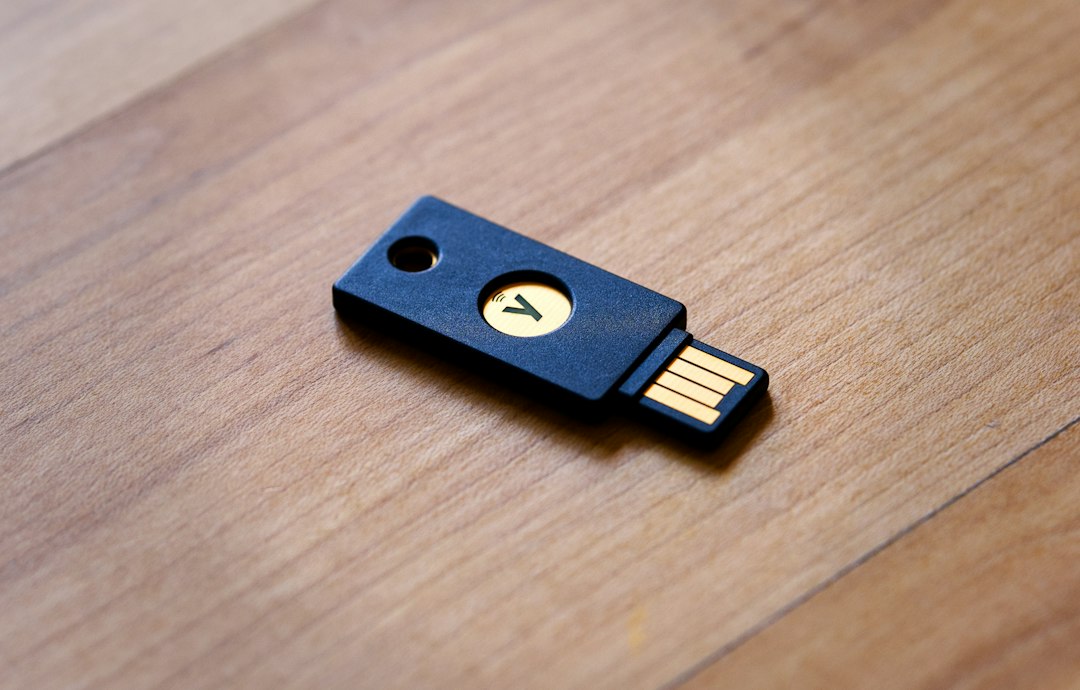 Hardware security key, one of the other sign-in options Windows can offer when the PIN is disabled